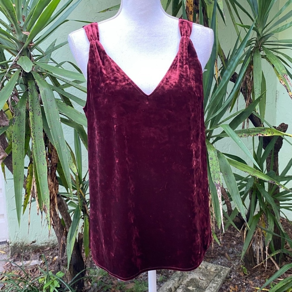 Red Wine Velvet Top